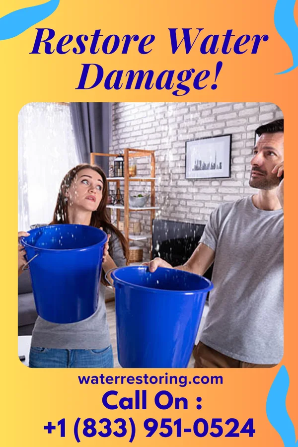 water restoration Express Sewage Cleanup LLC Wattsburg