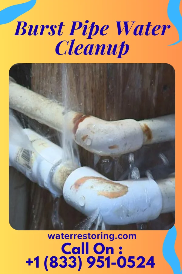 Burst Pipe Water Cleanup in Wattsburg, PA