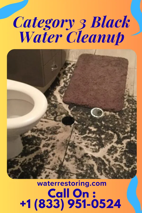 Category 3 Black Water Cleanup in Wattsburg, PA
