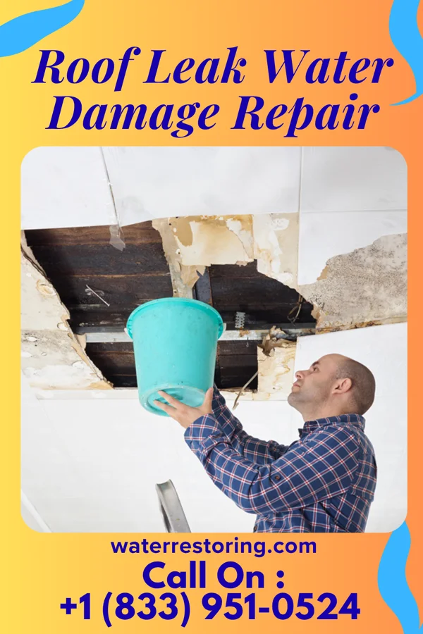 Roof Leak Water Damage Repair in Wattsburg, PA