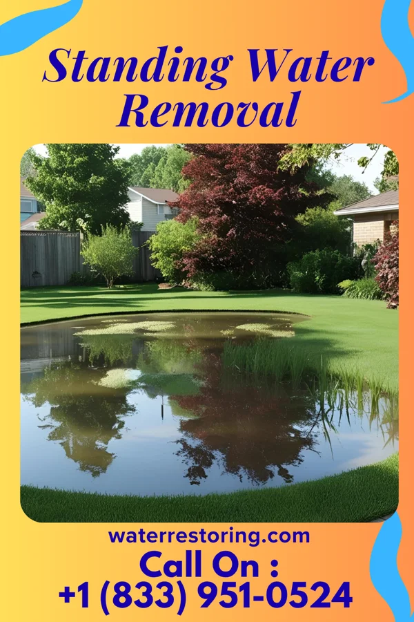 Standing Water Removal in Wattsburg, PA